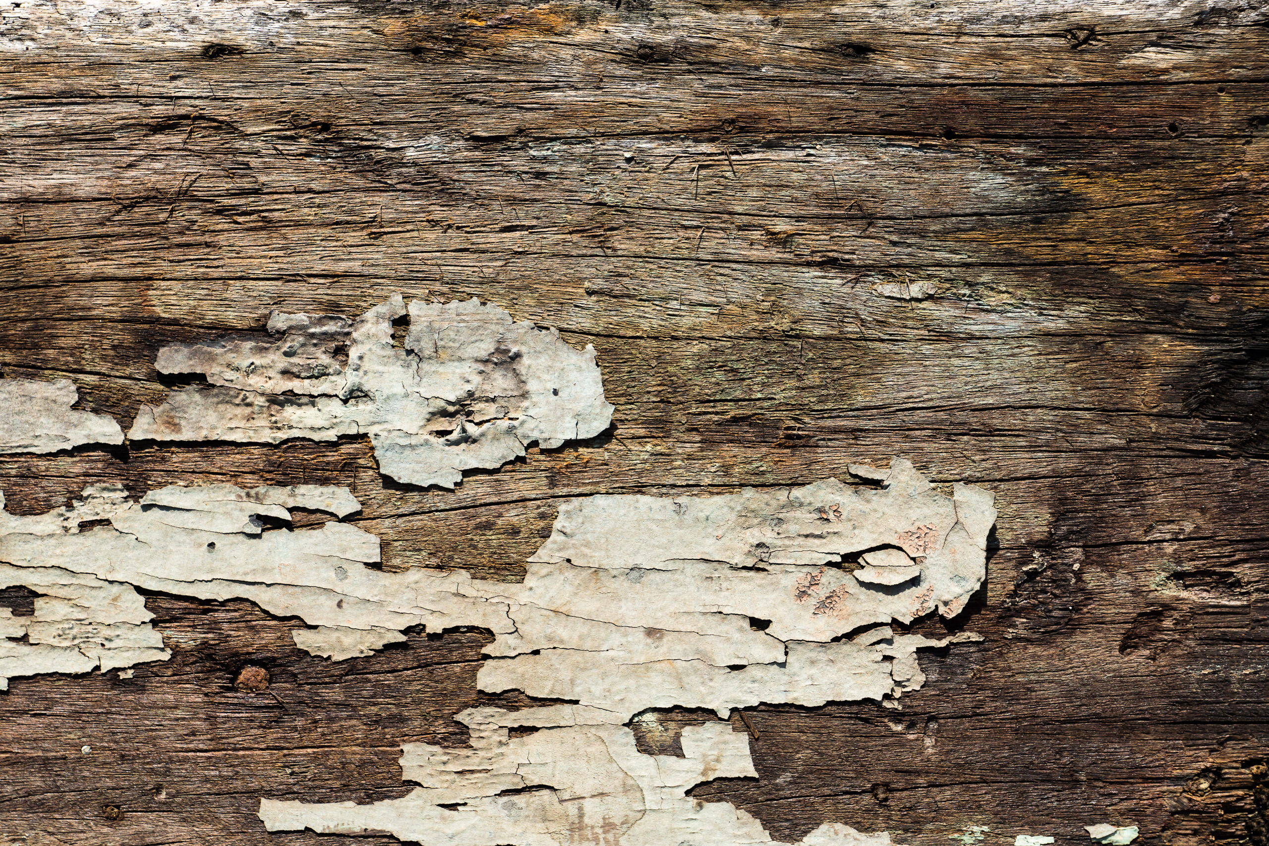 old-wood-background-and-peeling-of-the-paint-timbe-2026-01-11-10-41-56-utc