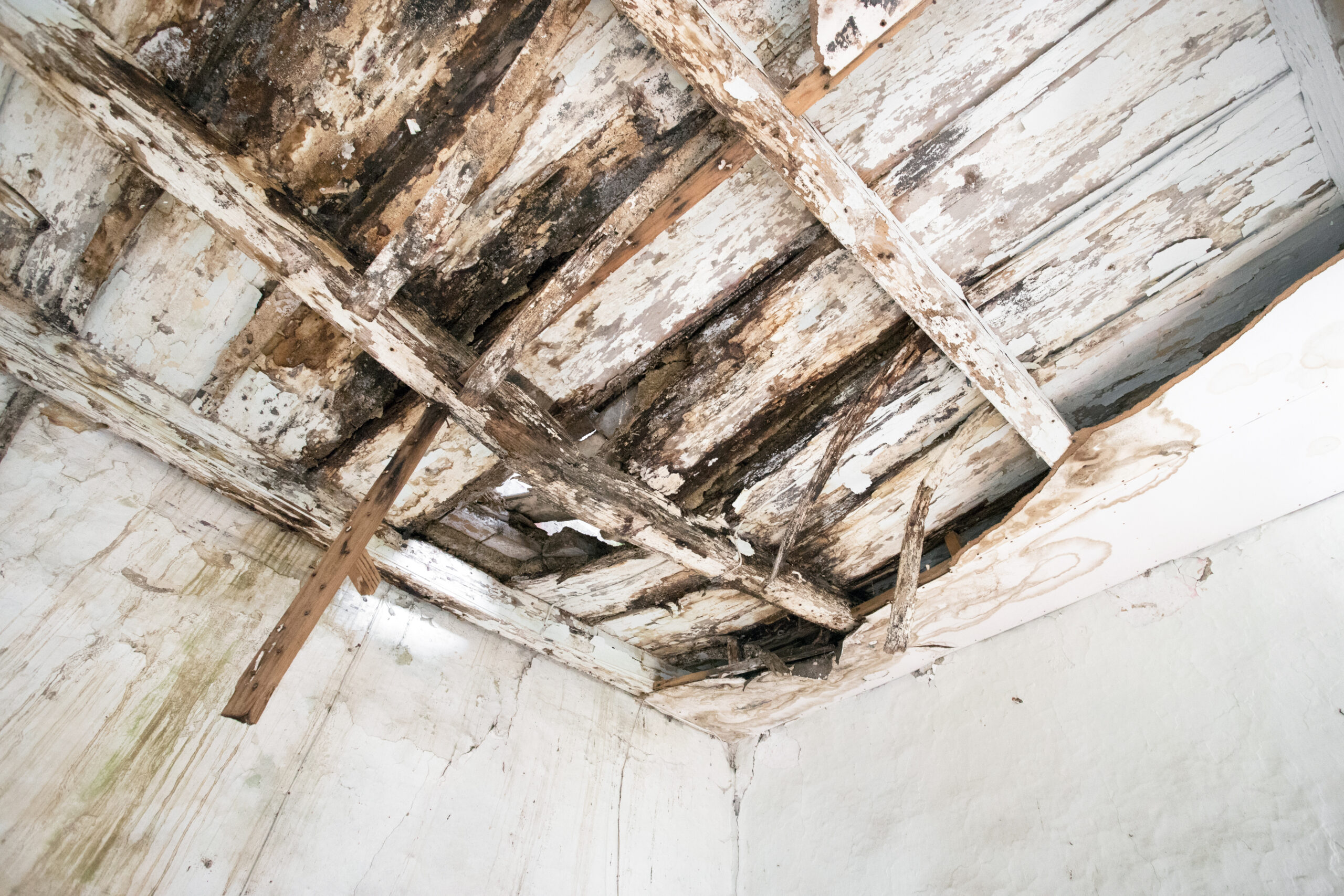 Old wooden ceiling